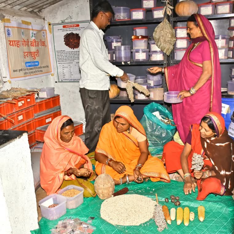 Best Yaha Mogi Mata Beej Bank' अभ्यासभेट — पारंपरिक बियाण्यांच्या संवर्धनाकडे महिलांचा सक्षम प्रवास 2025