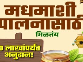 Madhmashi Palan Yojana: Rs. 10 lakh subsidy is being provided for beekeeping