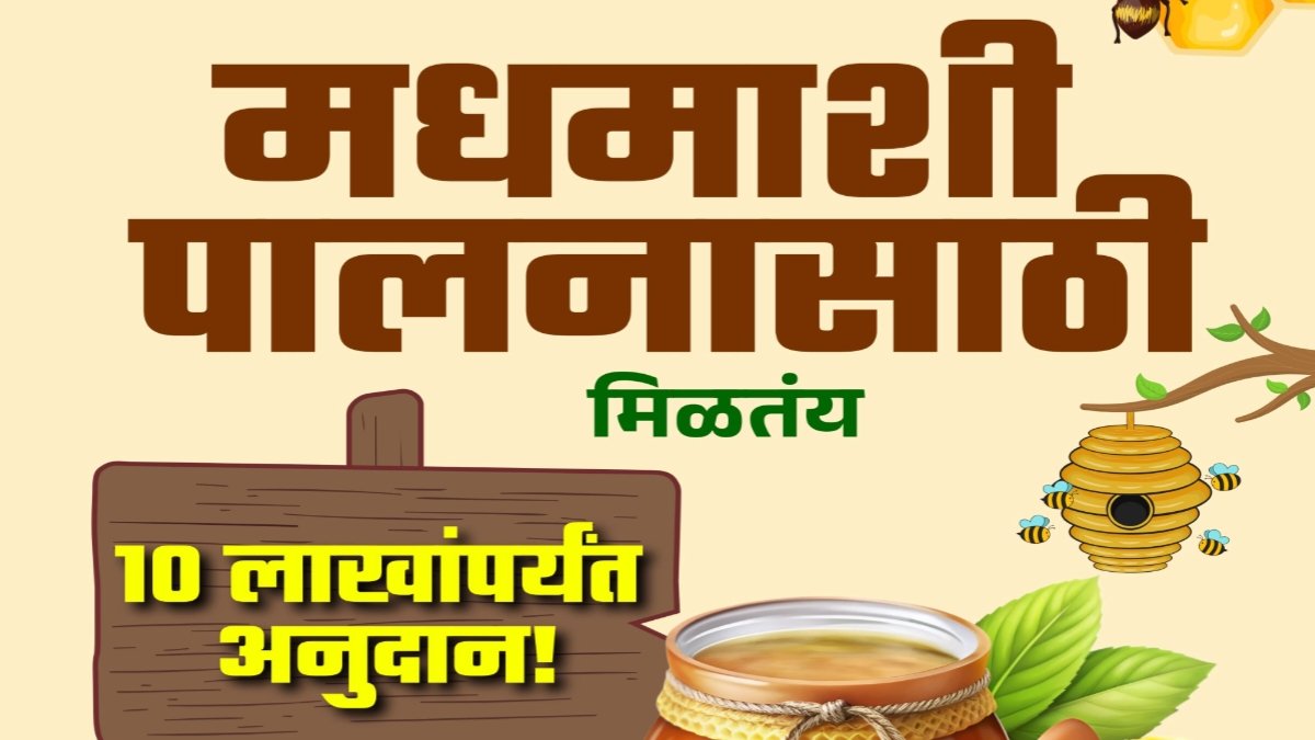 Madhmashi Palan Yojana: Rs. 10 lakh subsidy is being provided for beekeeping