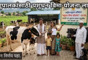 राज्य शासनाचा मोठा निर्णय! पशुपालकांसाठी 'Pasudhan Vima Yojana' लागू पहा शासन निर्णय.