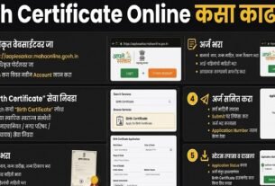Birth Certificate Online कसा काढायचा? संपूर्ण प्रक्रिया