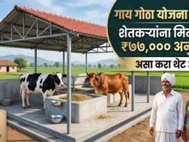 Gay Gotha Yojana 2026: ऑनलाईन अर्ज, पात्रता व कागदपत्रे