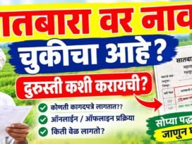 7-12 Utara Nav Chuk Durusti, 7/12 वर नाव चुकीचं आहे? दुरुस्ती कशी करायची?