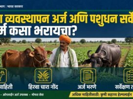 Chara Vyavasthapan Arj PDF, पशुधन सर्वेक्षण फॉर्म कसा भरायचा?